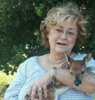 Realtor Profile Picture