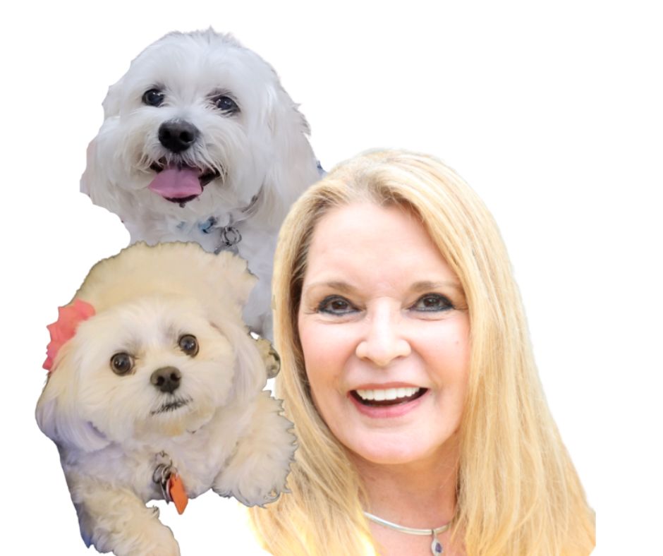 Realtor Profile Picture