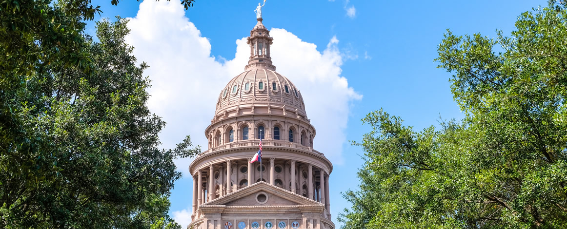 Texas Capitol framed by trees