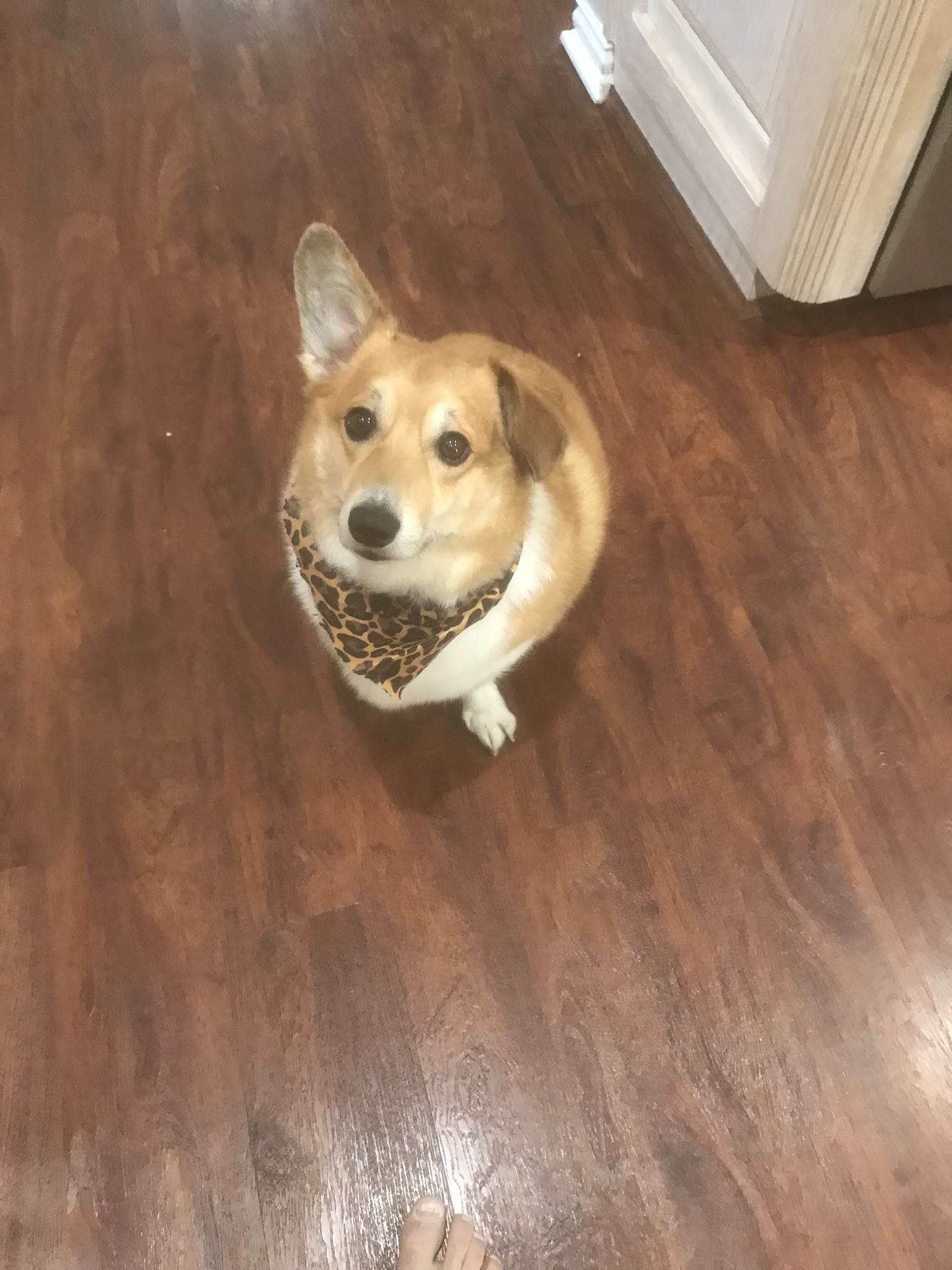 REALTOR® Profile Picture