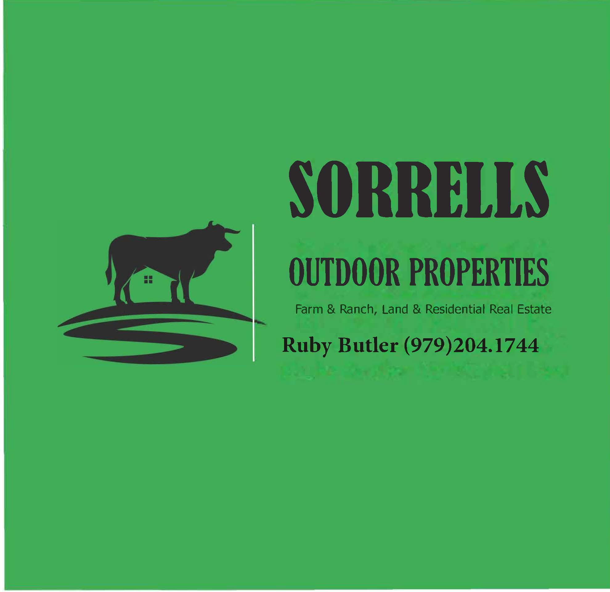 REALTOR® Profile Picture